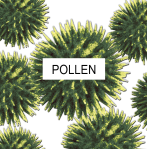 Upgrade the air filters in your Farmington Hills MI home to prevent pollen from entering your home.