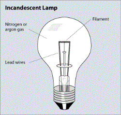 incandescent lamp